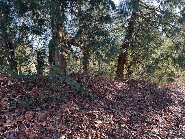 57 XX 188th Avenue NE, Redmond, WA 98053