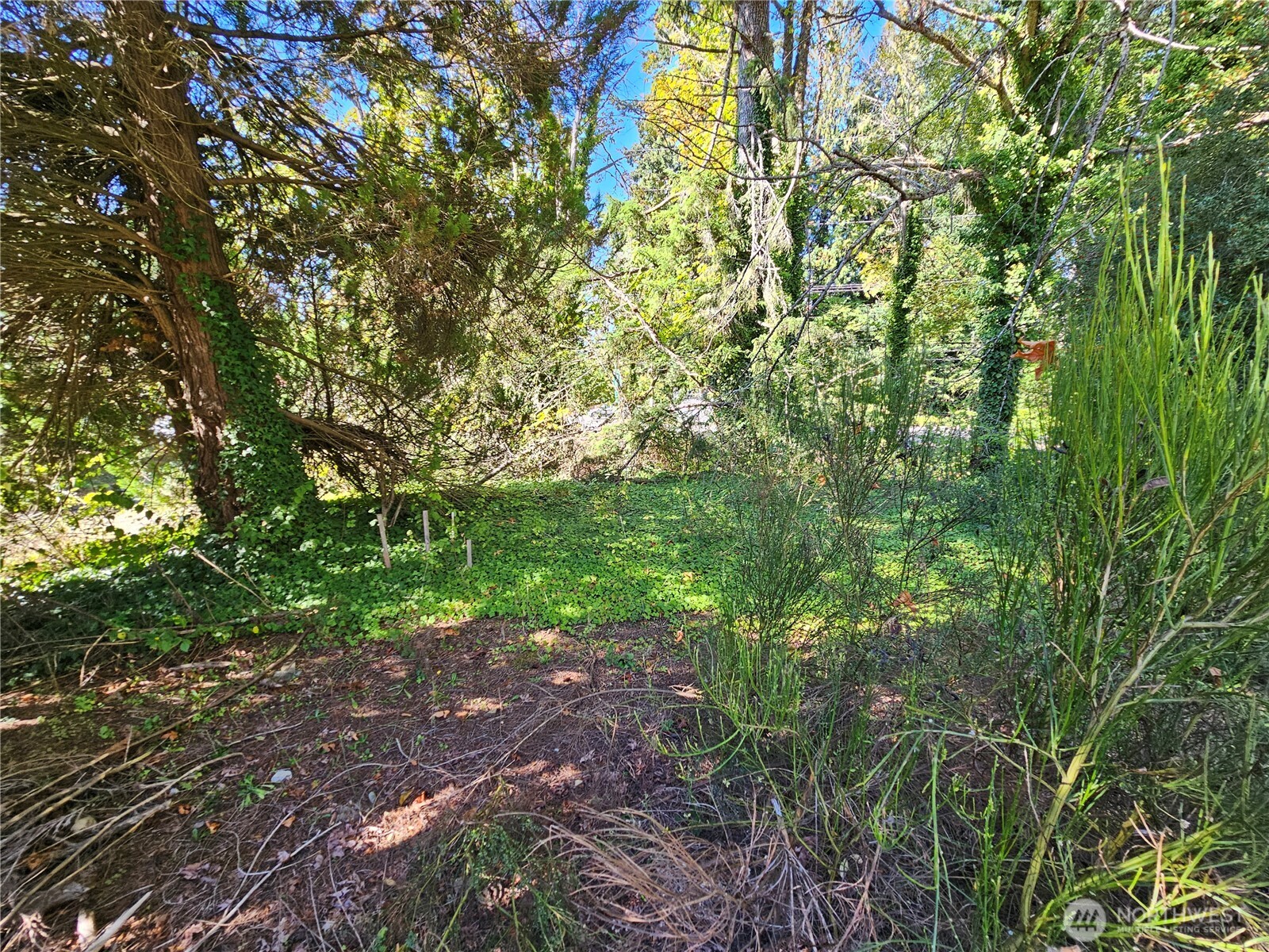 22550 NE SR-3 Highway , Belfair, WA 98528