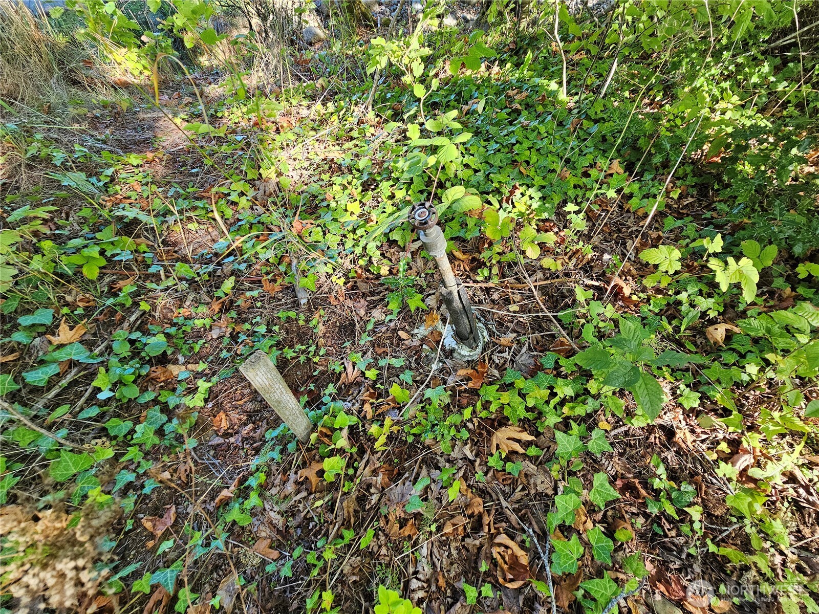 22550 NE SR-3 Highway , Belfair, WA 98528