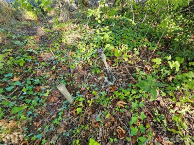 22550 NE SR-3 Highway , Belfair, WA 98528 - Photo 12