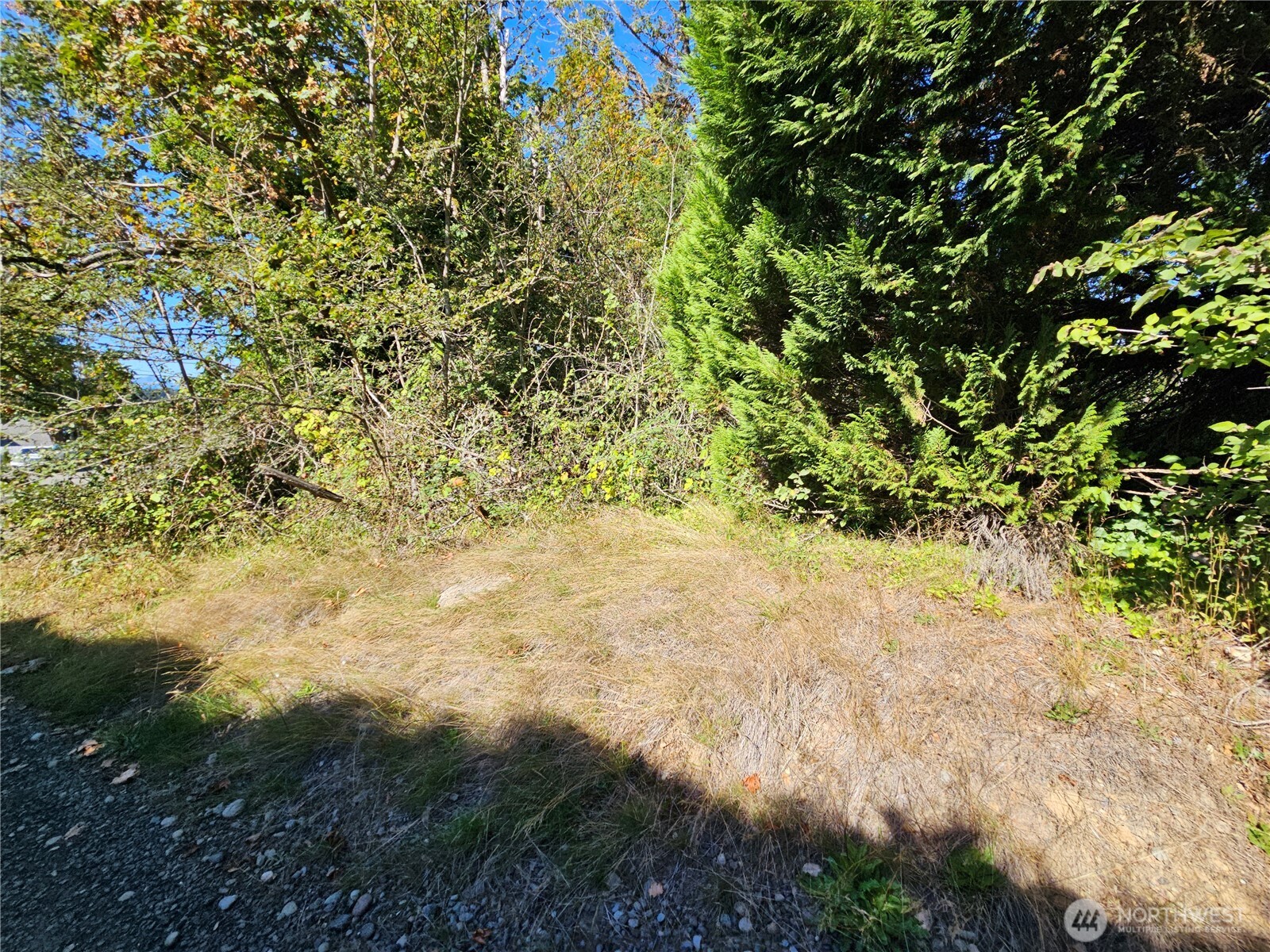 22550 NE SR-3 Highway , Belfair, WA 98528