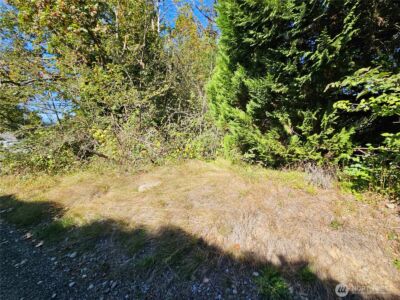 22550 NE SR-3 Highway , Belfair, WA 98528 - Photo 17