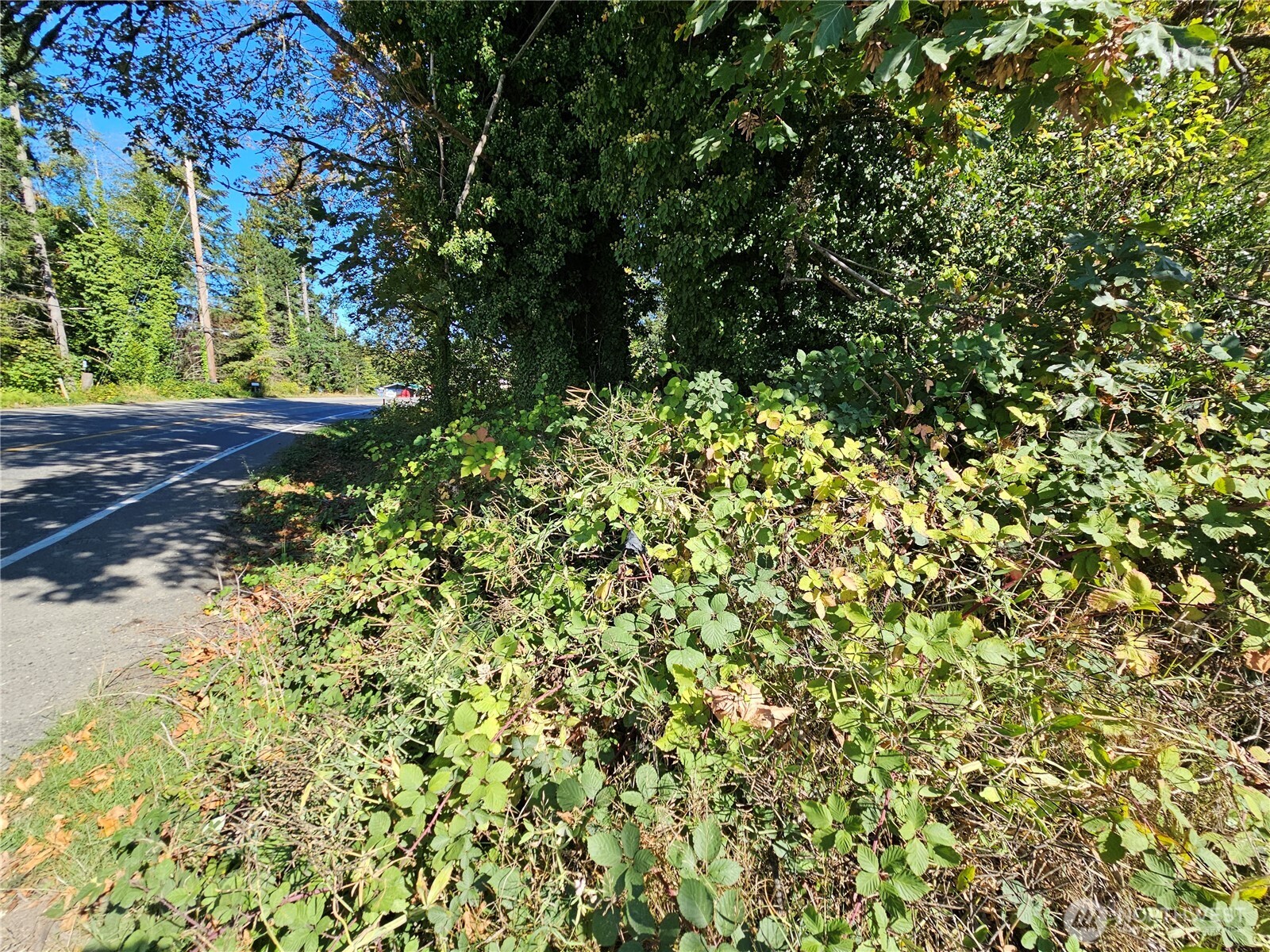 22550 NE SR-3 Highway , Belfair, WA 98528