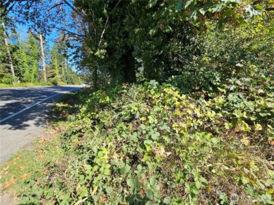 22550 NE SR-3 Highway , Belfair, WA 98528 - Photo 19