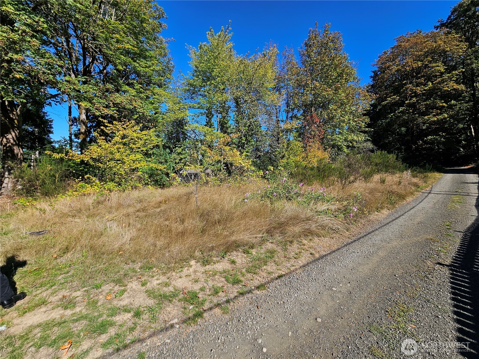 22550 NE SR-3 Highway , Belfair, WA 98528