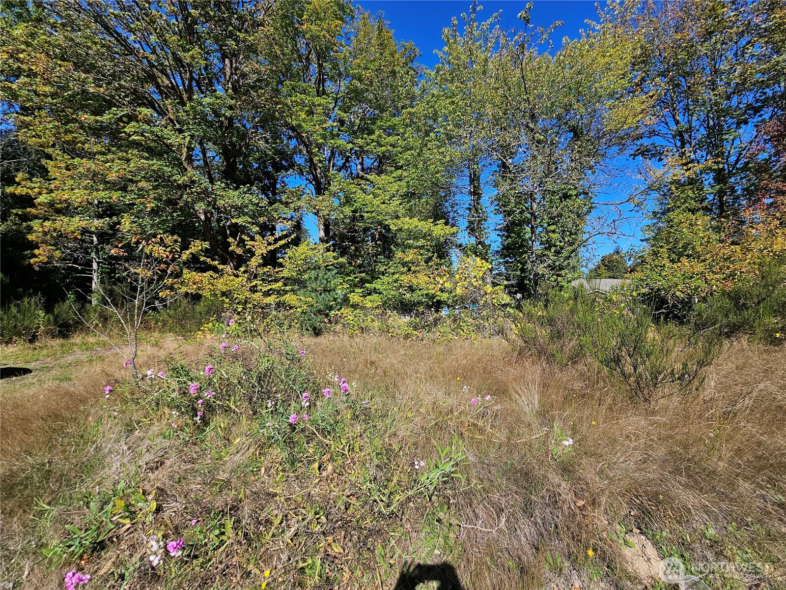 22550 NE SR-3 Highway , Belfair, WA 98528