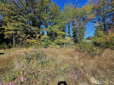 22550 NE SR-3 Highway , Belfair, WA 98528 - Photo 9