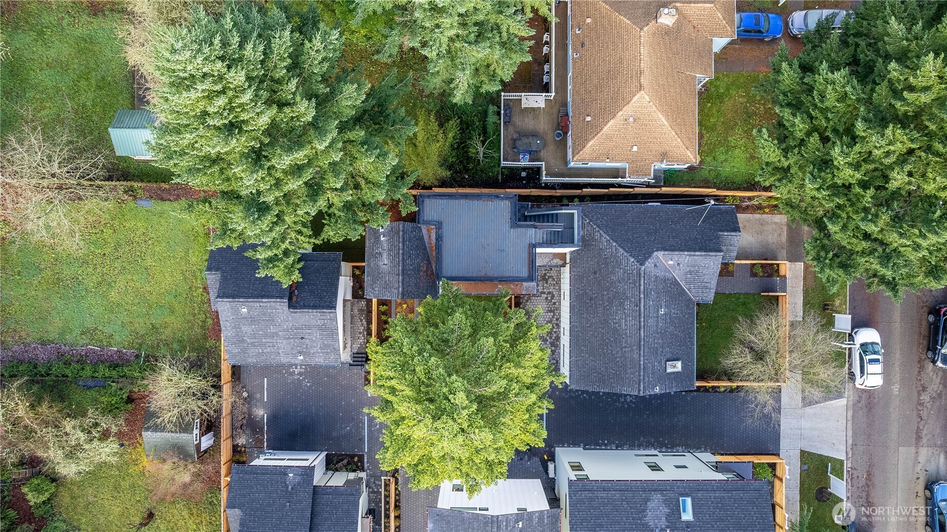 7341 21st Avenue NE #B, Seattle, WA 98115