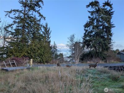 173 Island Vista Way , Port Angeles, WA 98362 - Photo 3