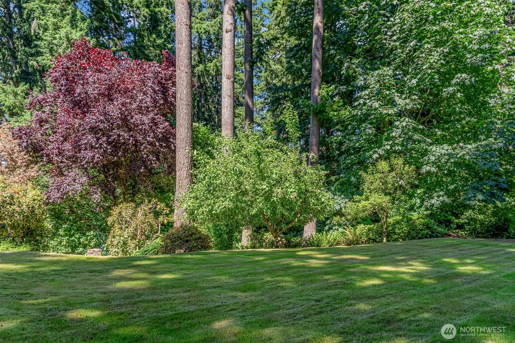 4256 163rd Avenue SE, Bellevue, WA 98006