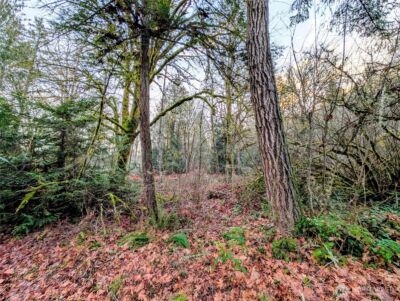 0 Whiteman Road SW, Lakebay, WA 98349 - Photo 3