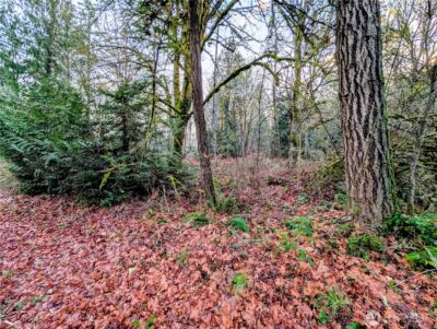 0 Whiteman Road SW, Lakebay, WA 98349 - Photo 4