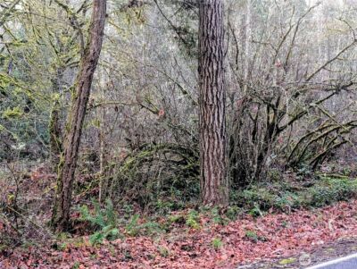 0 Whiteman Road SW, Lakebay, WA 98349 - Photo 5