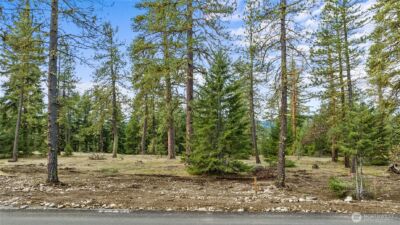 87 Wanawish Loop , Cle Elum, WA 98922 - Photo 4