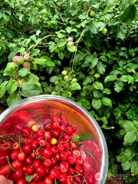 24502 NE 27th Place , Sammamish, WA 98074