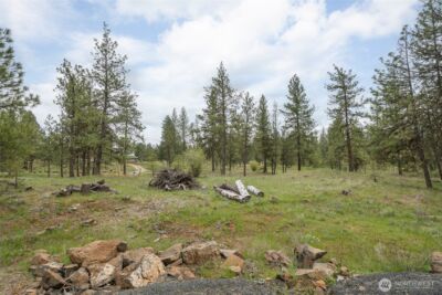 35315 S Bootstrap Ln , Cheney, WA 99004 - Photo 24