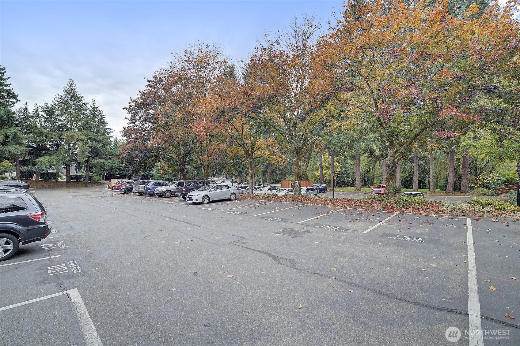 9900 NE 124th Street #1315, Kirkland, WA 98034-3764