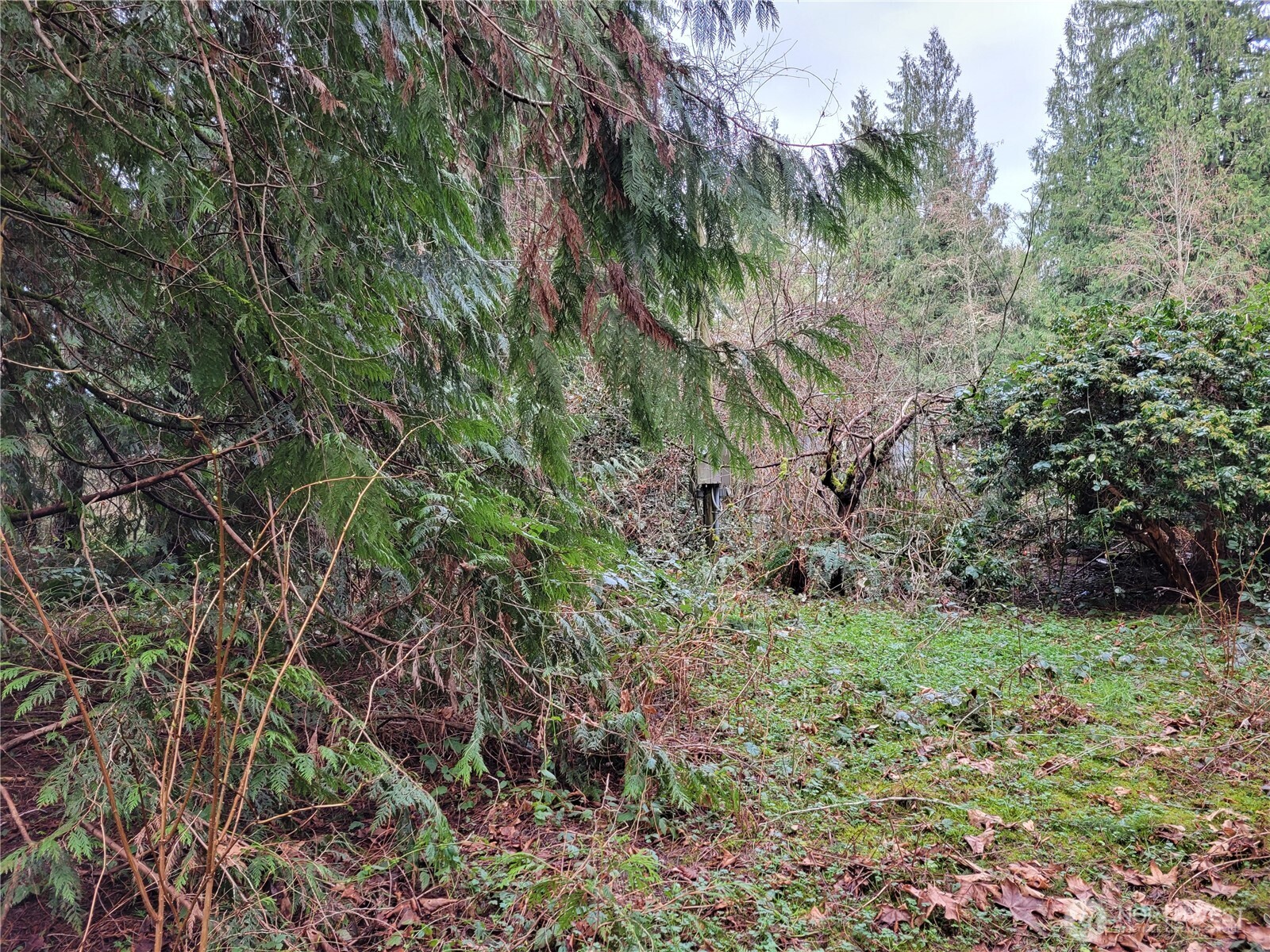 5603 E Lake Bosworth Drive , Snohomish, WA 98290