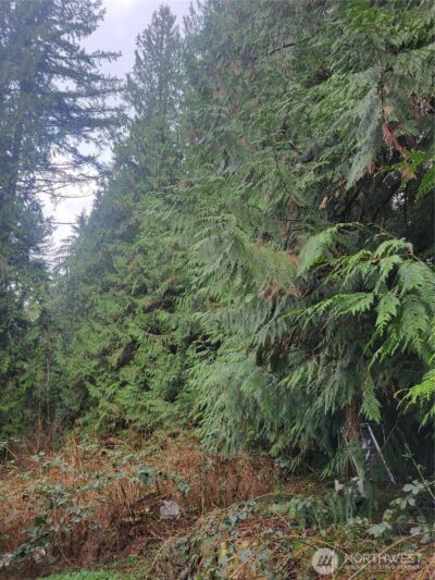 5603 E Lake Bosworth Drive , Snohomish, WA 98290 - Photo 12