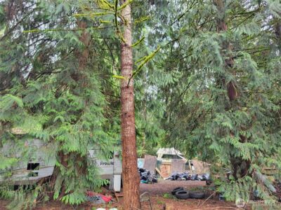 5603 E Lake Bosworth Drive , Snohomish, WA 98290 - Photo 4