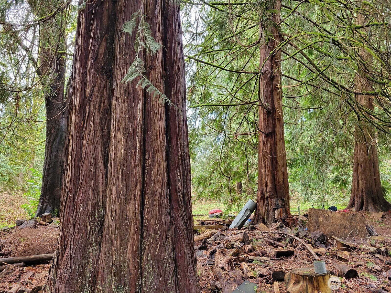 5603 E Lake Bosworth Drive , Snohomish, WA 98290