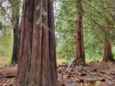 5603 E Lake Bosworth Drive , Snohomish, WA 98290 - Photo 5