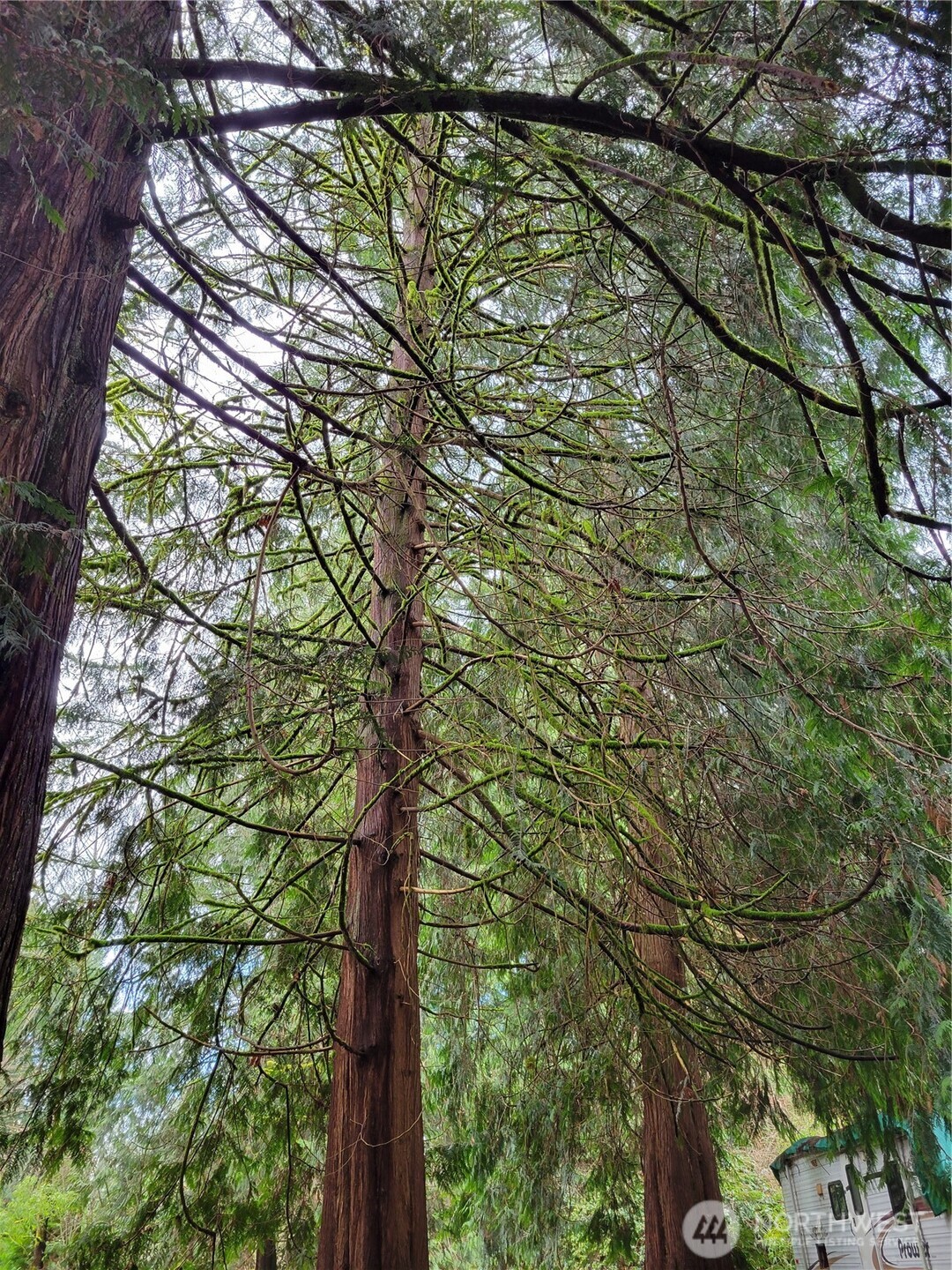 5603 E Lake Bosworth Drive , Snohomish, WA 98290