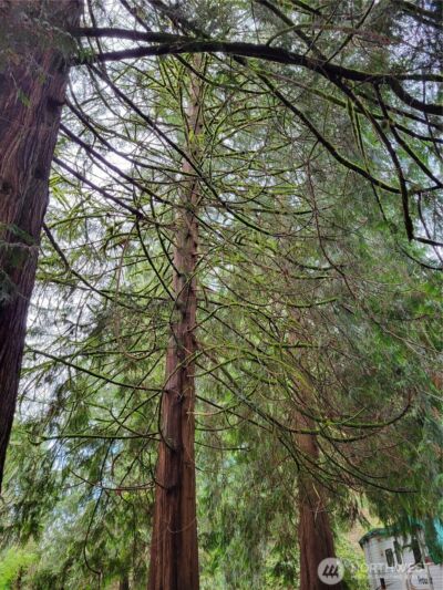 5603 E Lake Bosworth Drive , Snohomish, WA 98290 - Photo 8