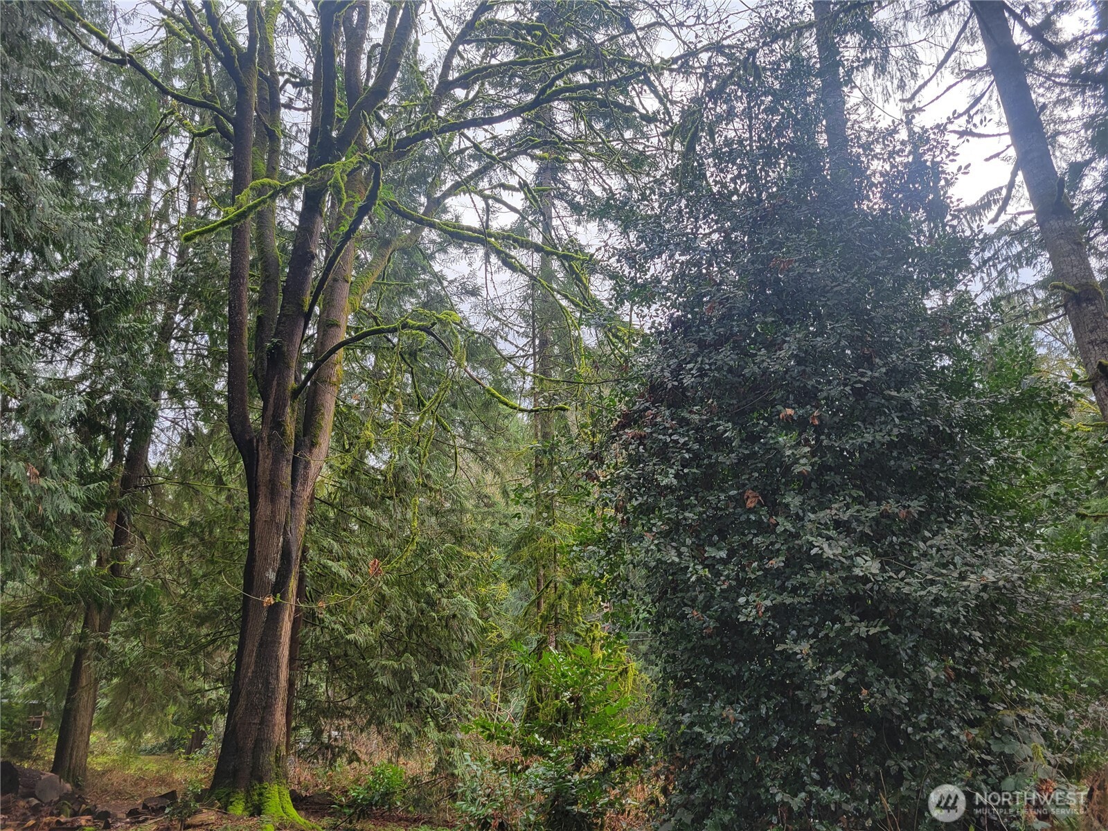 5603 E Lake Bosworth Drive , Snohomish, WA 98290