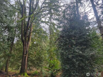 5603 E Lake Bosworth Drive , Snohomish, WA 98290 - Photo 9