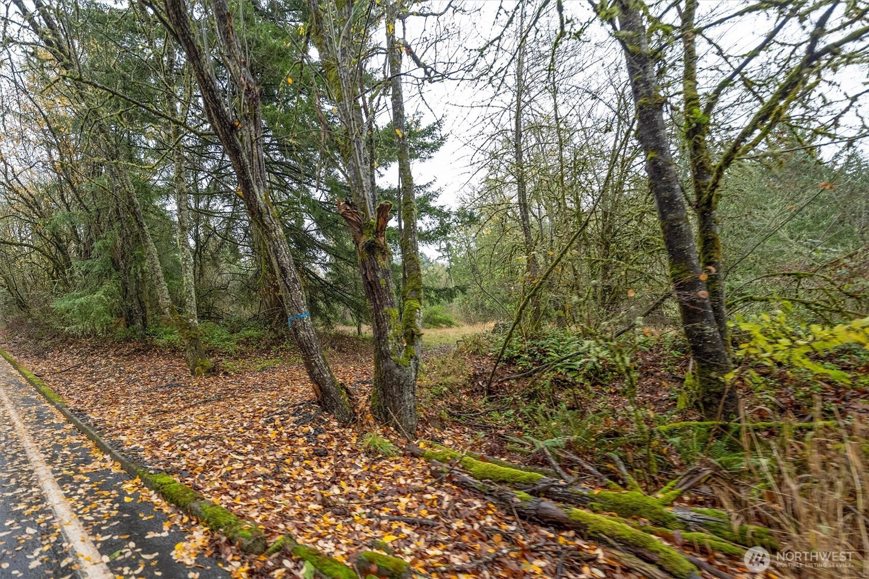 3 Grimm Road , Kelso, WA 98626