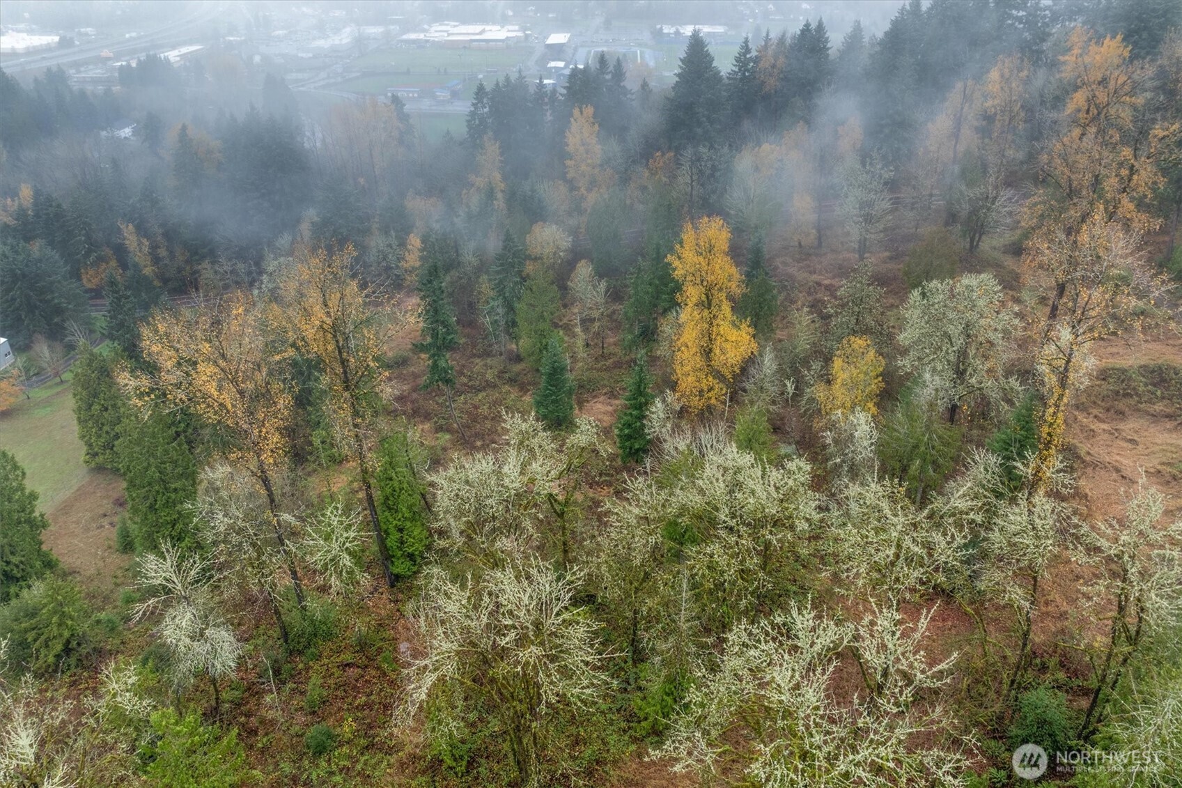 3 Grimm Road , Kelso, WA 98626