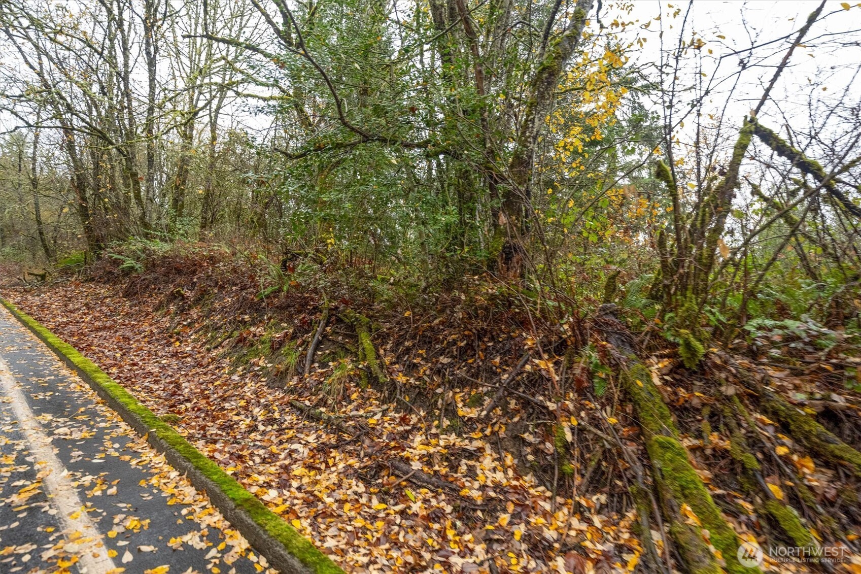 3 Grimm Road , Kelso, WA 98626