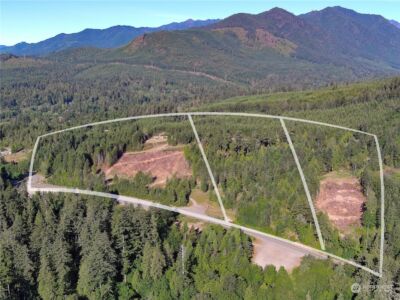 2 XXXX Mt Jupiter Road , Brinnon, WA 98376 - Photo 1