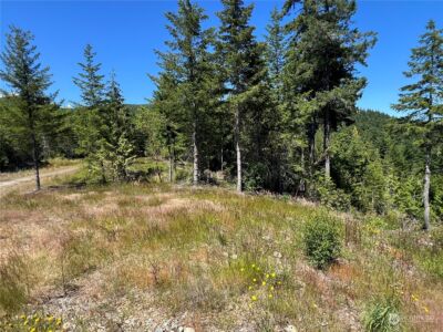 2 XXXX Mt Jupiter Road , Brinnon, WA 98376 - Photo 12