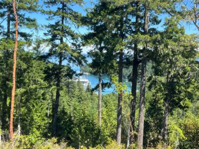 2 XXXX Mt Jupiter Road , Brinnon, WA 98376 - Photo 13