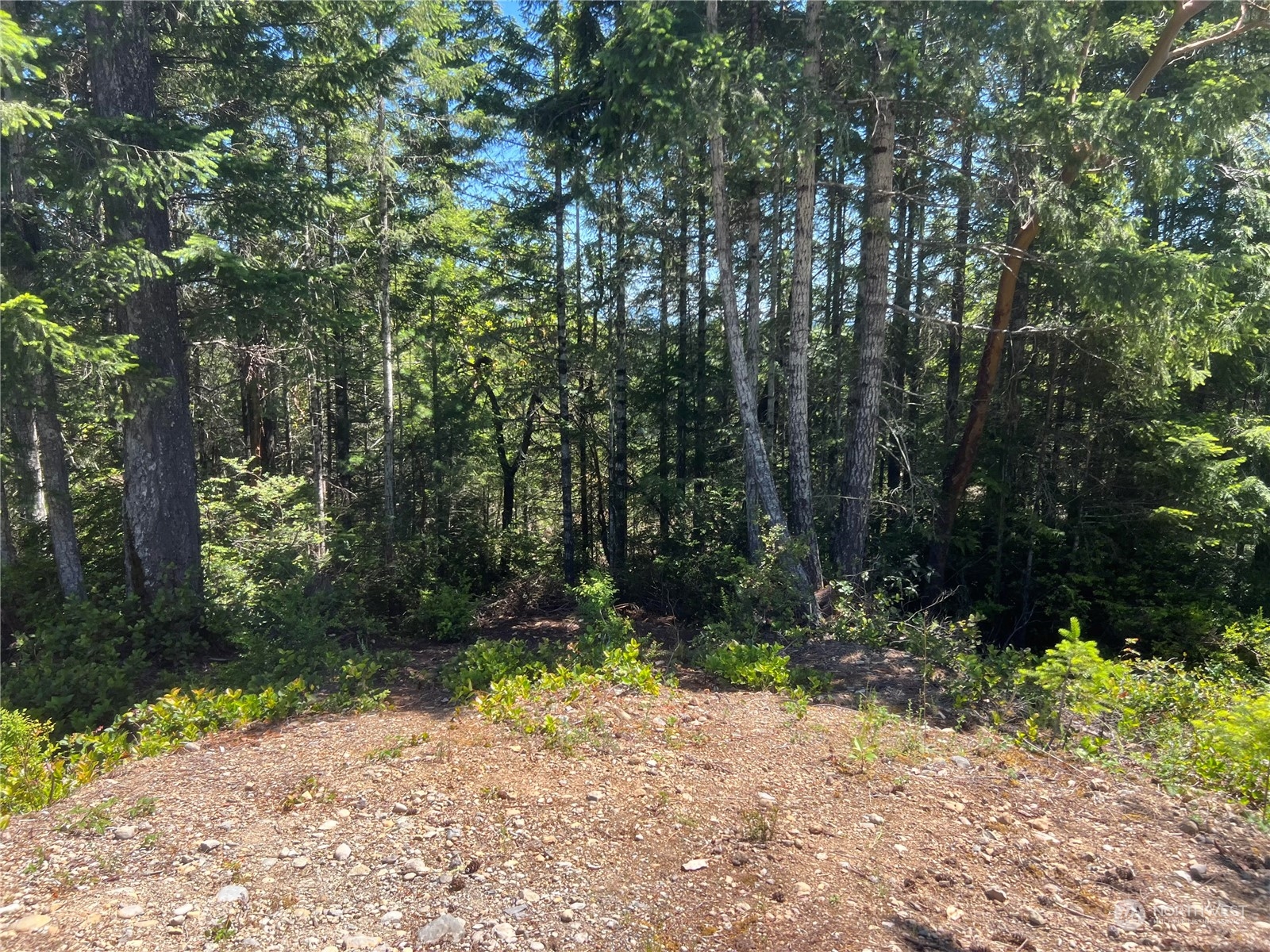 2 XXXX Mt Jupiter Road , Brinnon, WA 98376