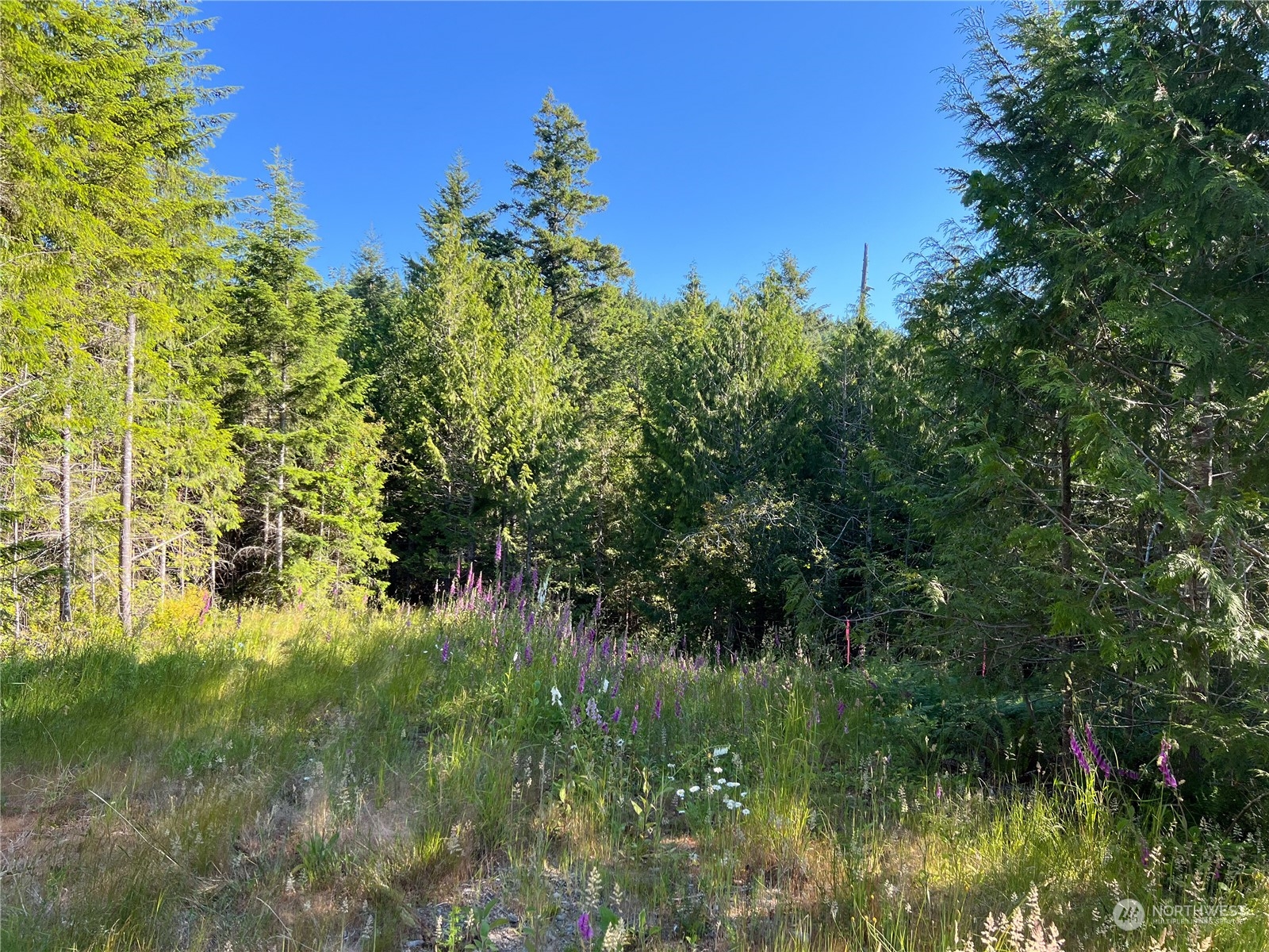 2 XXXX Mt Jupiter Road , Brinnon, WA 98376