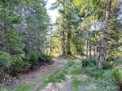 2 XXXX Mt Jupiter Road , Brinnon, WA 98376 - Photo 17