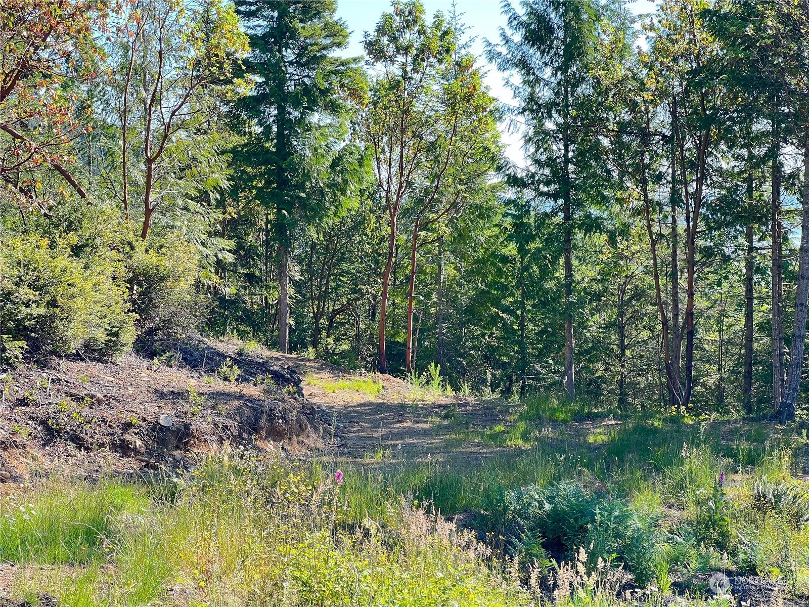 2 XXXX Mt Jupiter Road , Brinnon, WA 98376