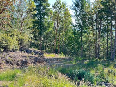 2 XXXX Mt Jupiter Road , Brinnon, WA 98376 - Photo 18