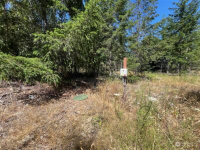 2 XXXX Mt Jupiter Road , Brinnon, WA 98376 - Photo 20