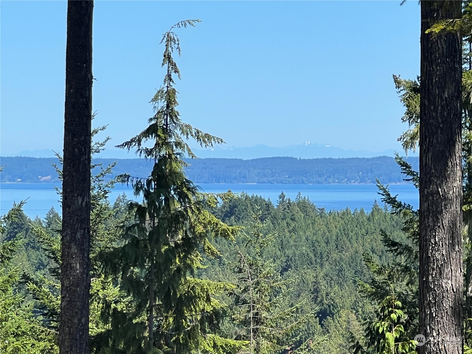 2 XXXX Mt Jupiter Road , Brinnon, WA 98376