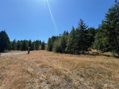 2 XXXX Mt Jupiter Road , Brinnon, WA 98376 - Photo 21