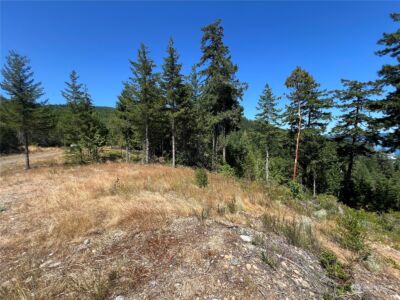 2 XXXX Mt Jupiter Road , Brinnon, WA 98376 - Photo 22