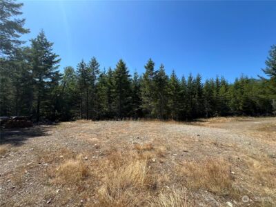 2 XXXX Mt Jupiter Road , Brinnon, WA 98376 - Photo 24