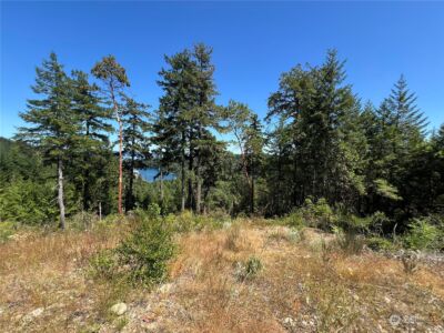 2 XXXX Mt Jupiter Road , Brinnon, WA 98376 - Photo 25