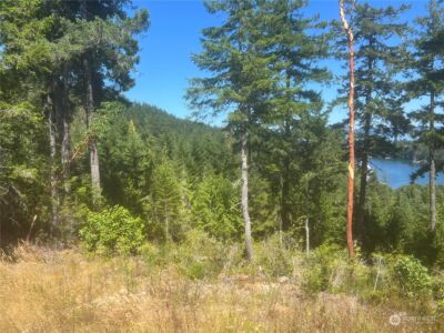 2 XXXX Mt Jupiter Road , Brinnon, WA 98376 - Photo 26