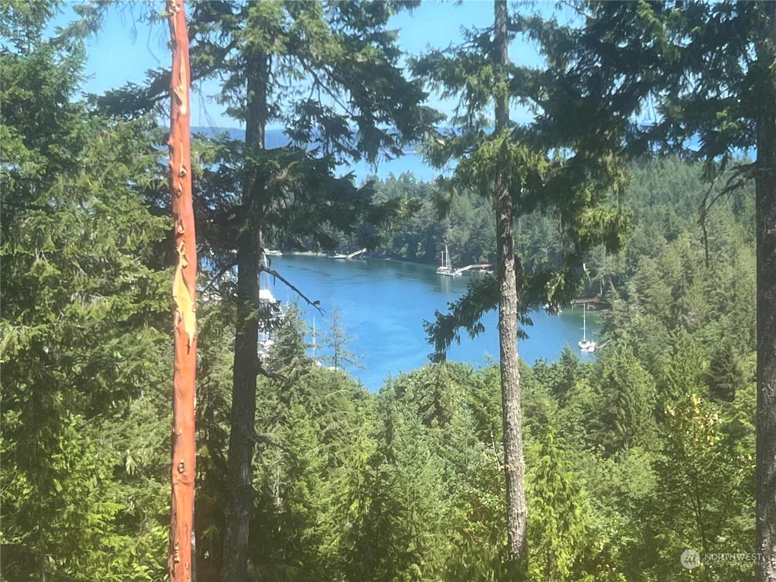 2 XXXX Mt Jupiter Road , Brinnon, WA 98376