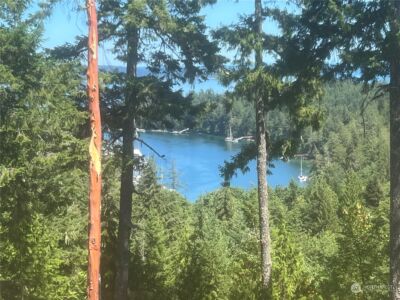 2 XXXX Mt Jupiter Road , Brinnon, WA 98376 - Photo 27